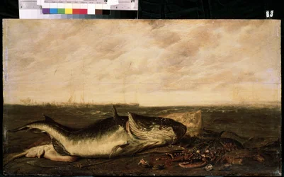 Pescado y langosta en la playa (Pescado y langosta a la orilla del mar). Pintura de Frans Ryckhals (después de 1600-1647). Óleo sobre lienzo, 47 x 83,5 cm