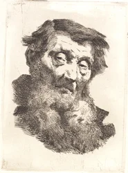 Viejo con barba gris dividida