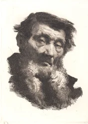 Viejo con barba gris dividida