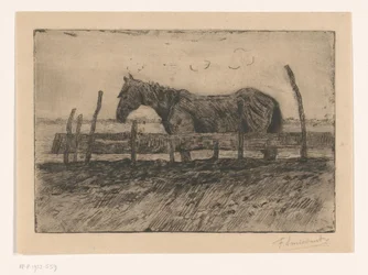 Caballo