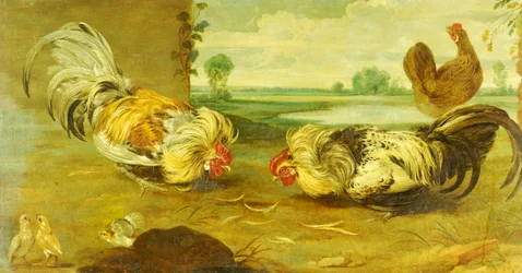 Una pelea de gallos