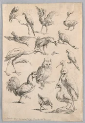 Surtido de aves, del "Recueil de differentes études d