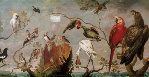 Concierto de pájaros. Pintura de Frans Snyders (Snijders) (1579-1657) siglo XVII Madrid, Museo del Prado