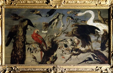 Concierto de pájaros (Concierto de un pájaro). Pintura de Frans Snyders (1579-1657). Óleo sobre tela