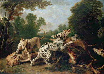 Perros peleando en un claro boscoso