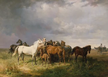 Caballos en la Puszta