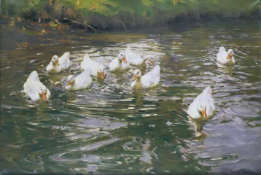 Patos blancos en el agua