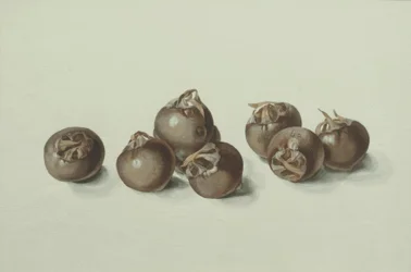 Nísperos