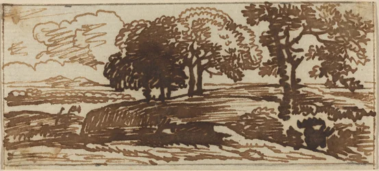 Paisaje