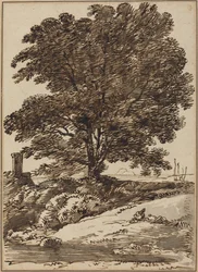 Costa con un gran árbol