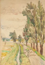 camino rural con árboles