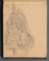 Álbum con vistas de Roma y alrededores, estudios de paisajes, página 13a: Árboles