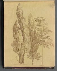 Álbum con vistas de Roma y alrededores, estudios de paisajes, página 15a: Árboles