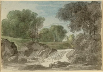 paisaje de árboles