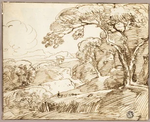 Paisaje panorámico