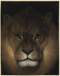 Cabeza de león