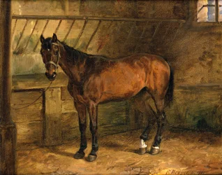 Caballo en el establo