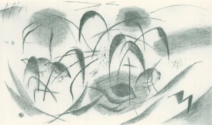 Pintada
