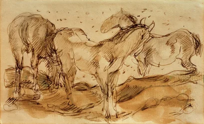 Caballos en el prado
