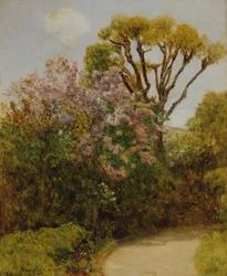 paisaje