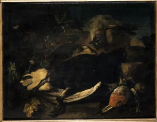 Aves muertas