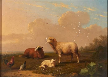 Ovejas y gallinas en un prado