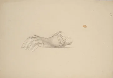Estudio manual
