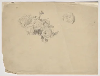 Rosenstudio