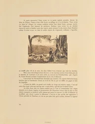 Corfú. Olivar
