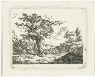 Paisaje con árbol con dos ramas muertas