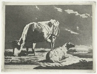paisaje con vaca y oveja