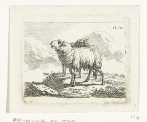Dos ovejas de pie