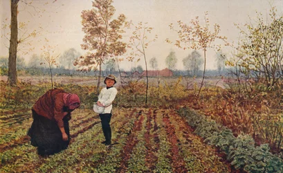 El campo de violetas, 1867, hacia 1915