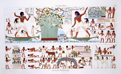 Preparando la comida para los muertos, de un raro registro de frescos de Tebas, registrado entre 1819 y 1822 en su segunda visita a Egipto por Frederic Cailliaud (1787-1869), litografía en color