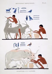 Obra veterinaria, procedente de un raro registro de frescos de Tebas, registrado en 1819-1822 en su segunda visita a Egipto por Frédéric Cailliaud (1787-1869), litografía en color