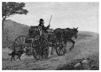 Un cazador de conejos de Colac, 1886
