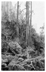 Un barranco en las Montañas Azules, Australia, 1886