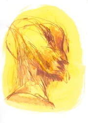 El retrato 1