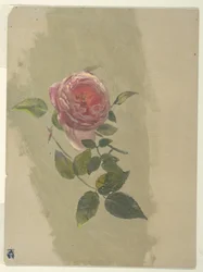Una rama de rosa