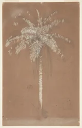 Palma Abaye, Monte Salus, Jamaica