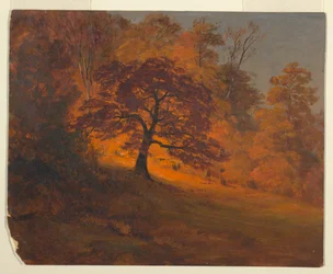 Follaje de otoño
