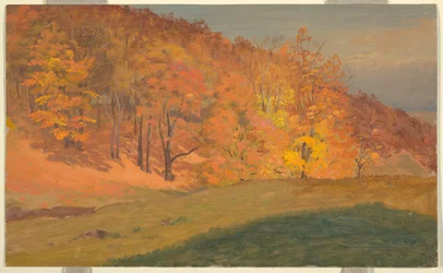 Bosques de otoño