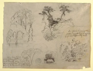 Estudios botánicos y una casa, probablemente de Colombia