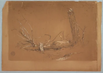Dibujo, Un árbol muerto roto, 1855-65