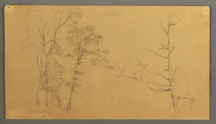 Dibujo, Un grupo de árboles con la parte superior de un árbol muerto., 1866