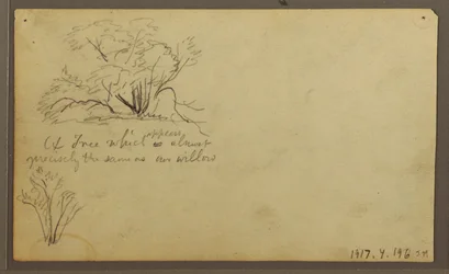 Dibujo, Una cabaña sobre postes, Guayaquil, Ecuador, mayo de 1857