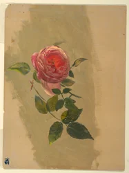 Dibujo, Un ramo de rosas, 1860-70