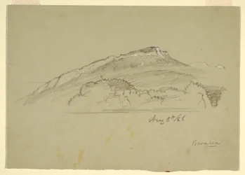 Dibujo, Un árbol, Baviera, 8 de agosto de 1868