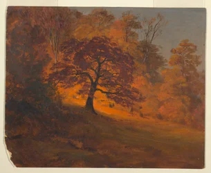 Dibujo, Follaje otoñal, 1867