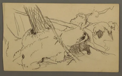 Dibujo, Base de árbol, peñasco, posiblemente 1877